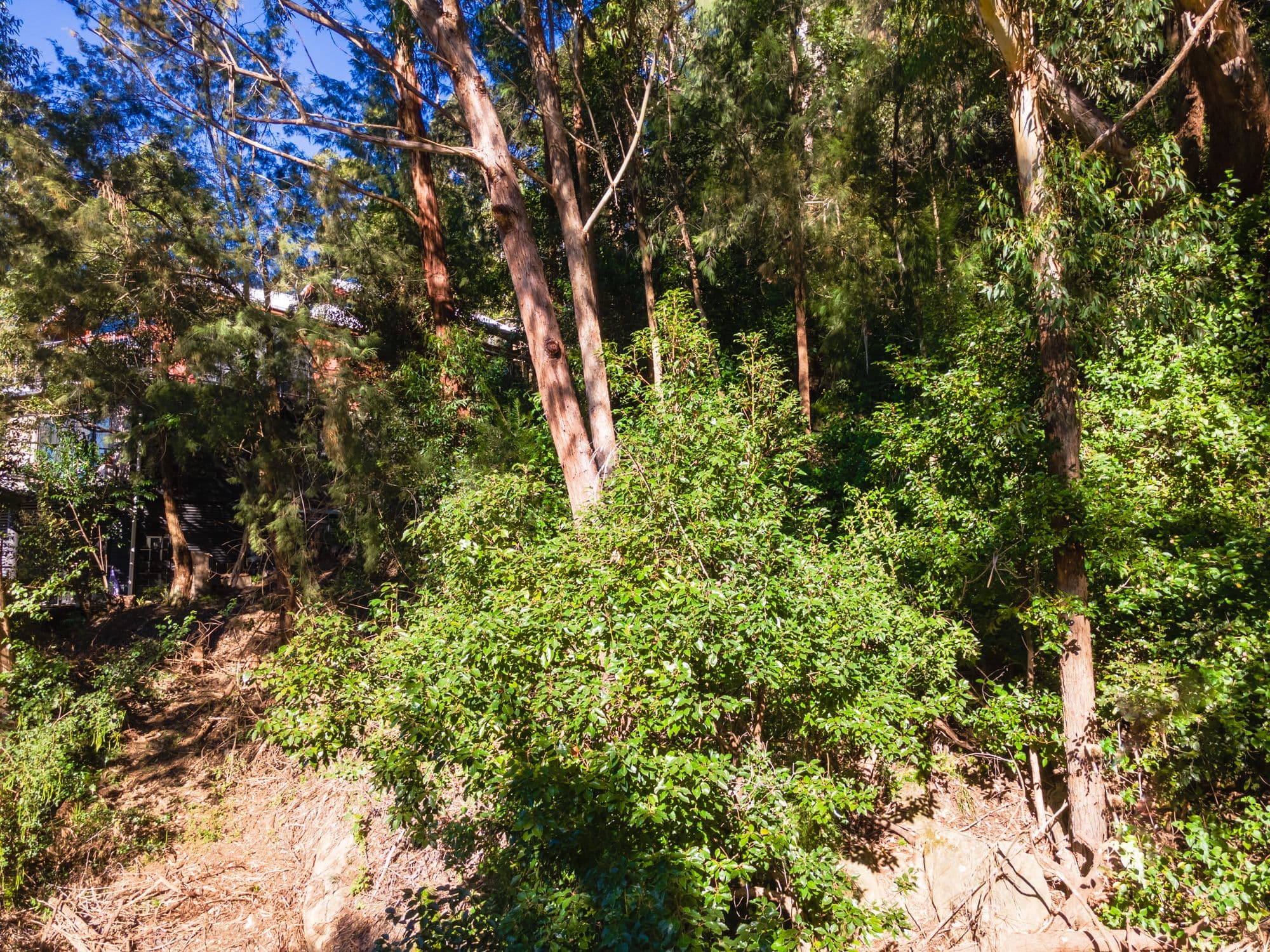 6 Denver Close, East Gosford NSW 2250, East Gosford - Thumbnail 5