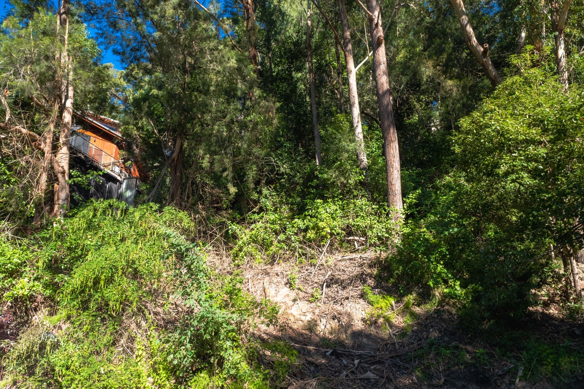 6 Denver Close, East Gosford NSW 2250, East Gosford - Thumbnail 7