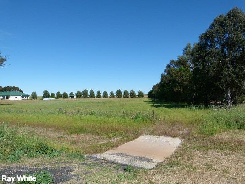 331A Calarie Road, FORBES NSW 2871, Forbes - Thumbnail 2