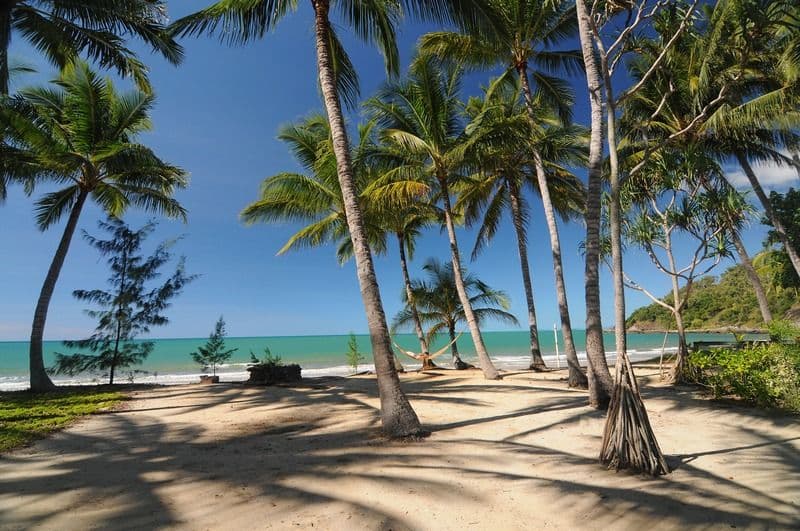 19 Oak Street, Oak Beach QLD 4877, Oak Beach - Thumbnail 6