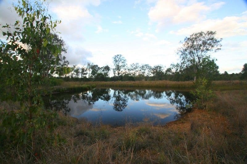 44 Settlement Road, BUNDABERG QLD 4670, Bundaberg Central - Thumbnail 4