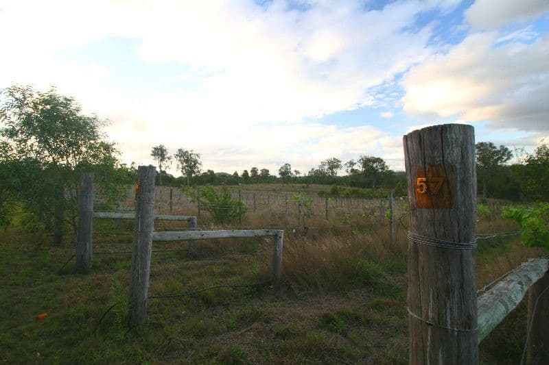 44 Settlement Road, BUNDABERG QLD 4670, Bundaberg Central - Thumbnail 5