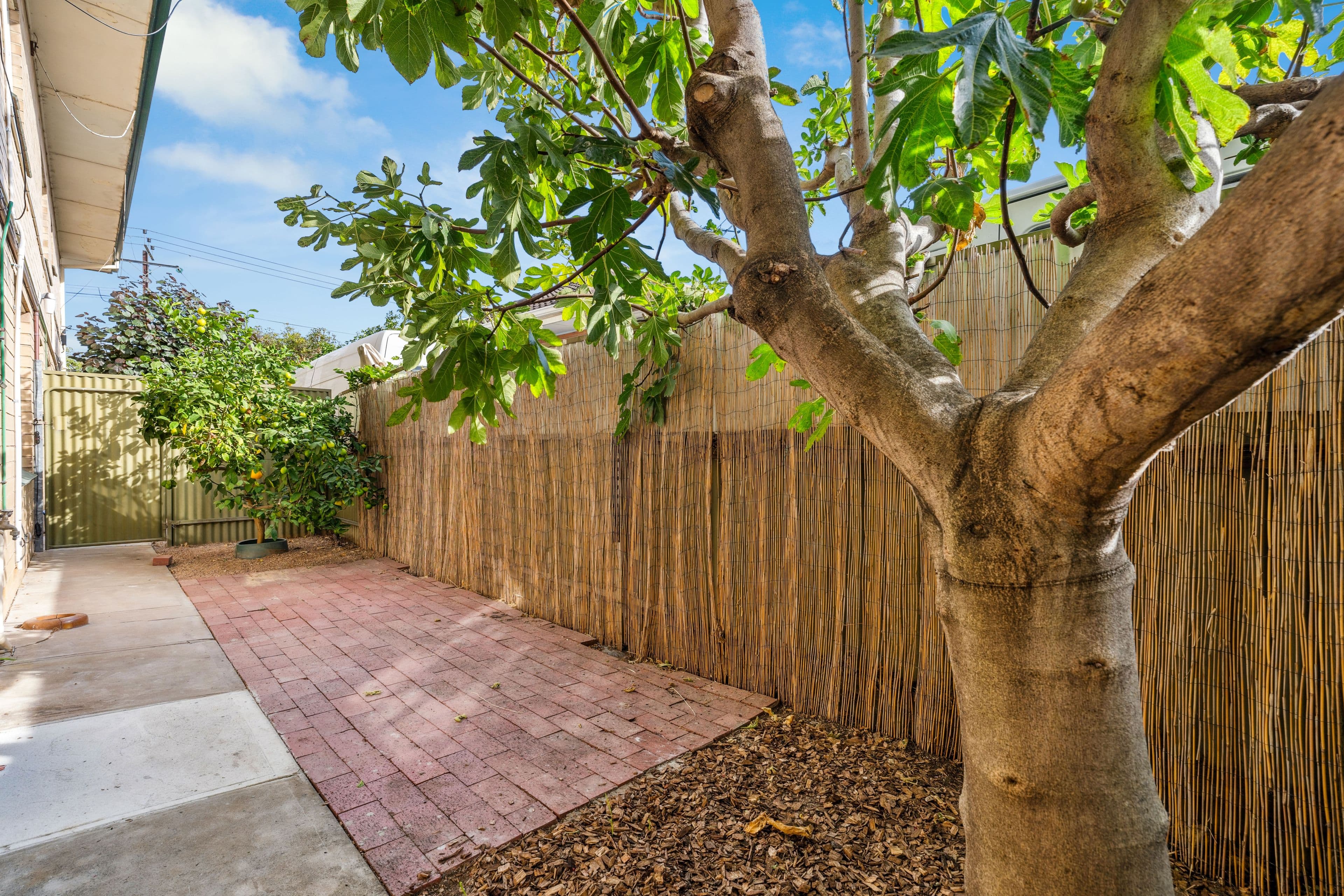 65 Press Road, Brooklyn Park SA 5032, Brooklyn Park - Thumbnail 8