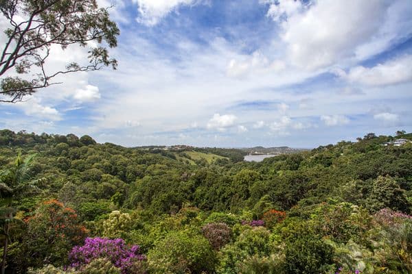 Lot 6 Scenic Drive, BILAMBIL HEIGHTS NSW 2486, Bilambil Heights - Thumbnail 4
