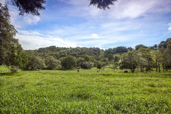Lot 6 Scenic Drive, BILAMBIL HEIGHTS NSW 2486, Bilambil Heights - Thumbnail 5