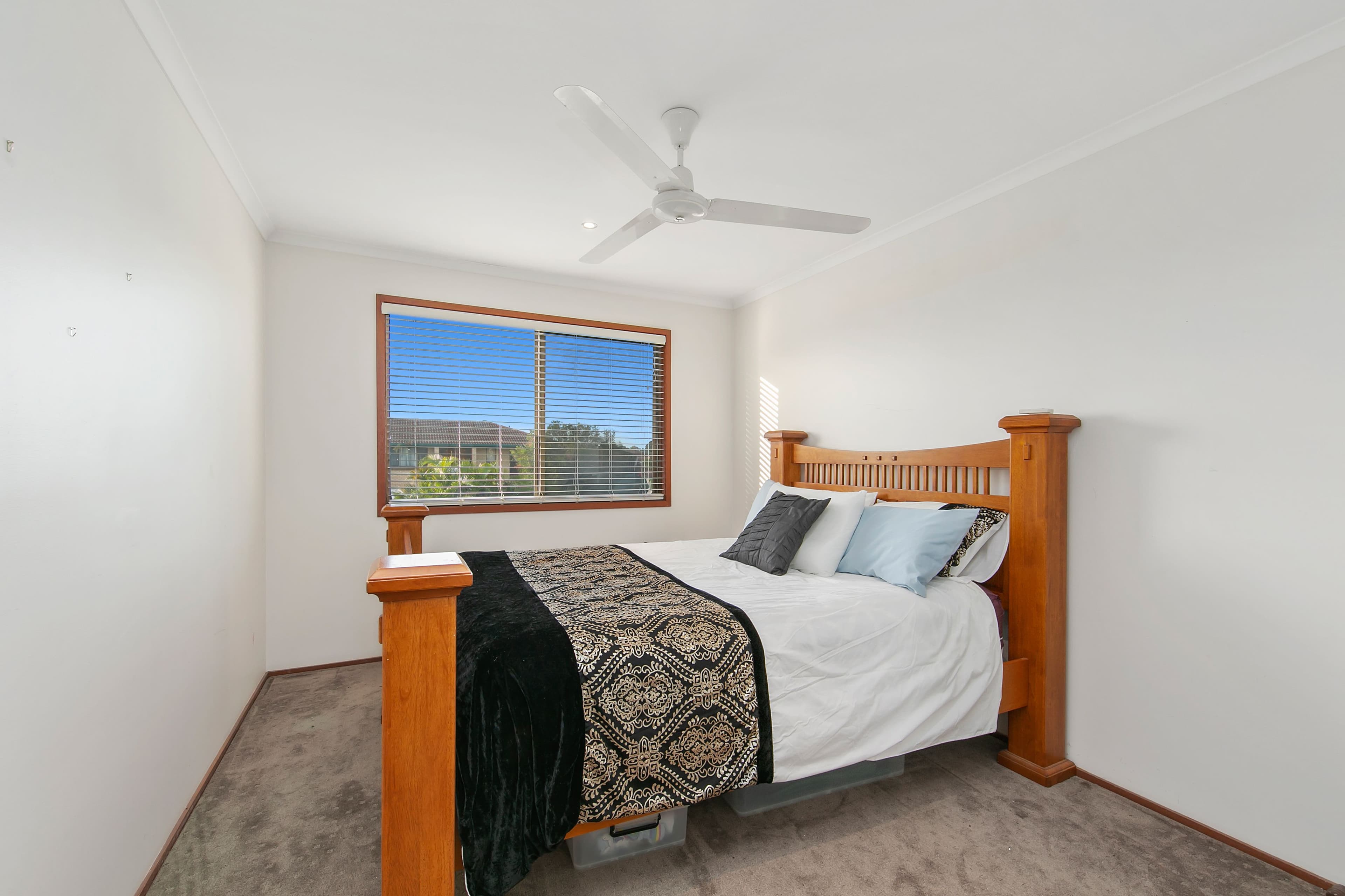 30 Suelin Street, Boondall QLD 4034, Boondall - Thumbnail 6