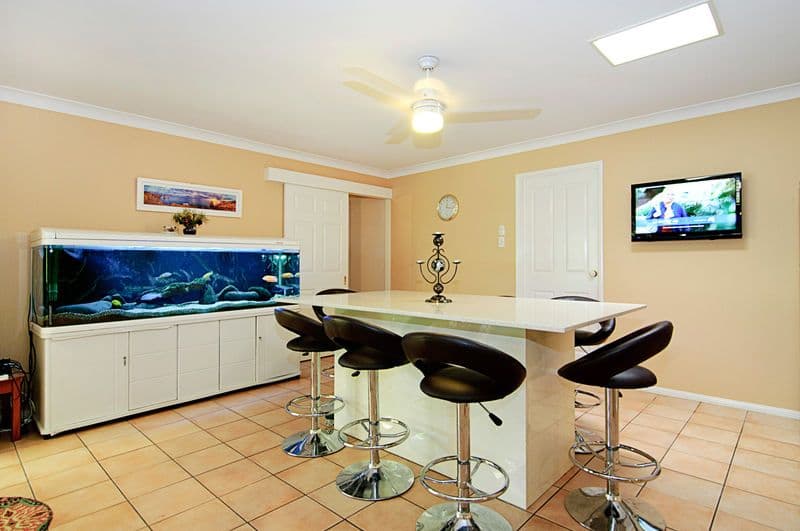 17 Carnation Crescent, CALAMVALE QLD 4116, Calamvale - Thumbnail 7