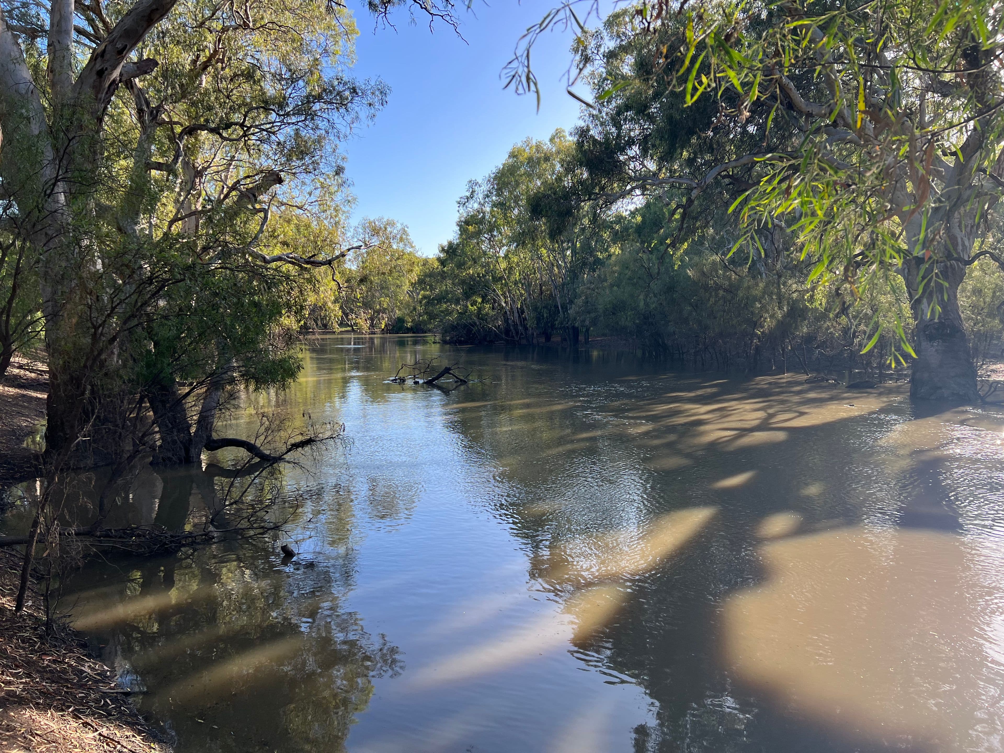 139 Billabong Creek Drive, Conargo NSW 2710, Conargo - Image 1