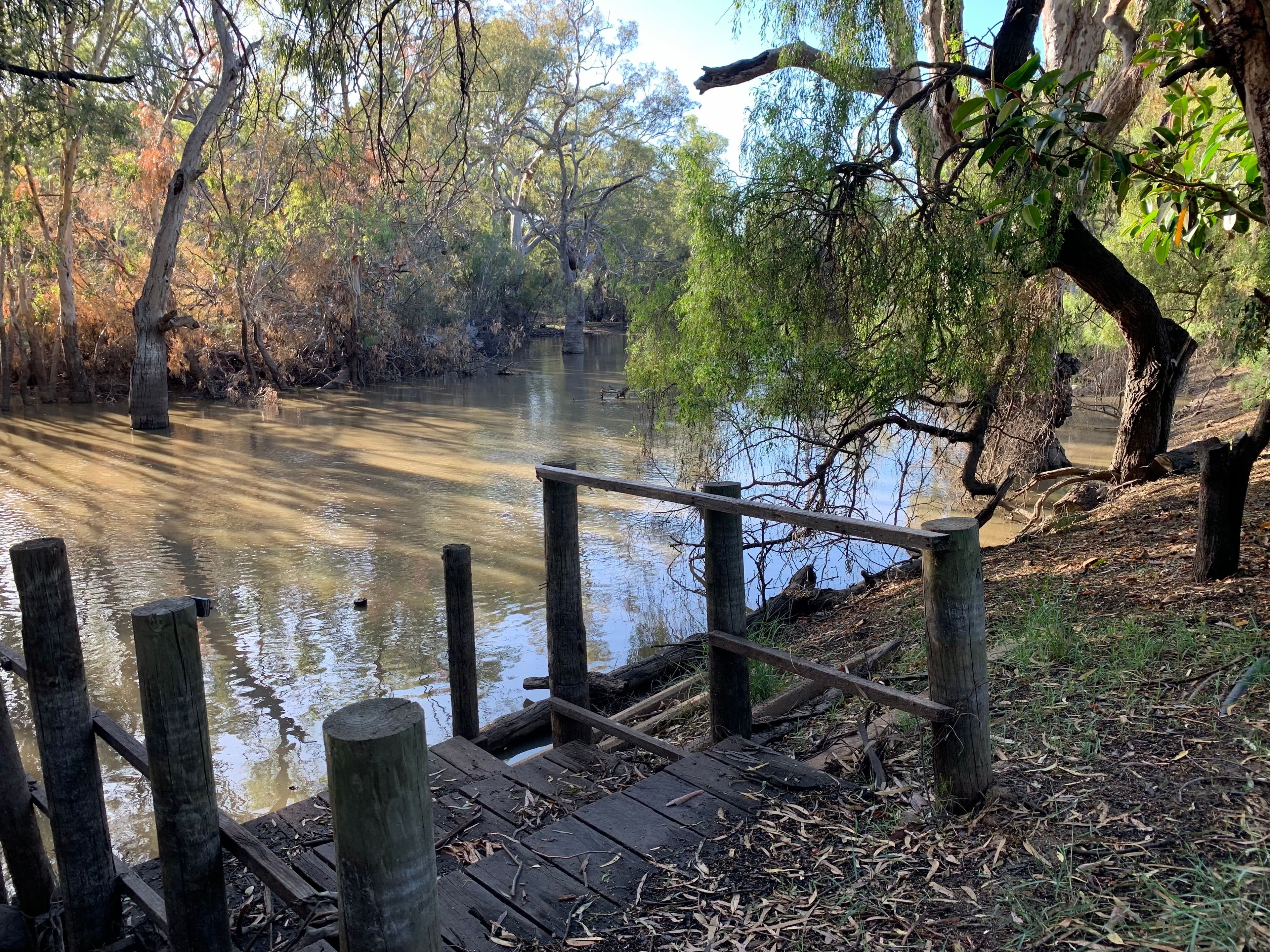 139 Billabong Creek Drive, Conargo NSW 2710, Conargo - Thumbnail 6