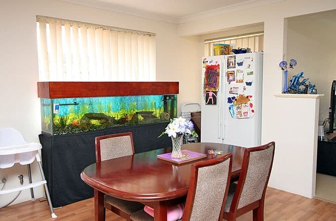 41 Bibbulmun Meander, RAVENSWOOD WA 6208, Ravenswood - Thumbnail 4