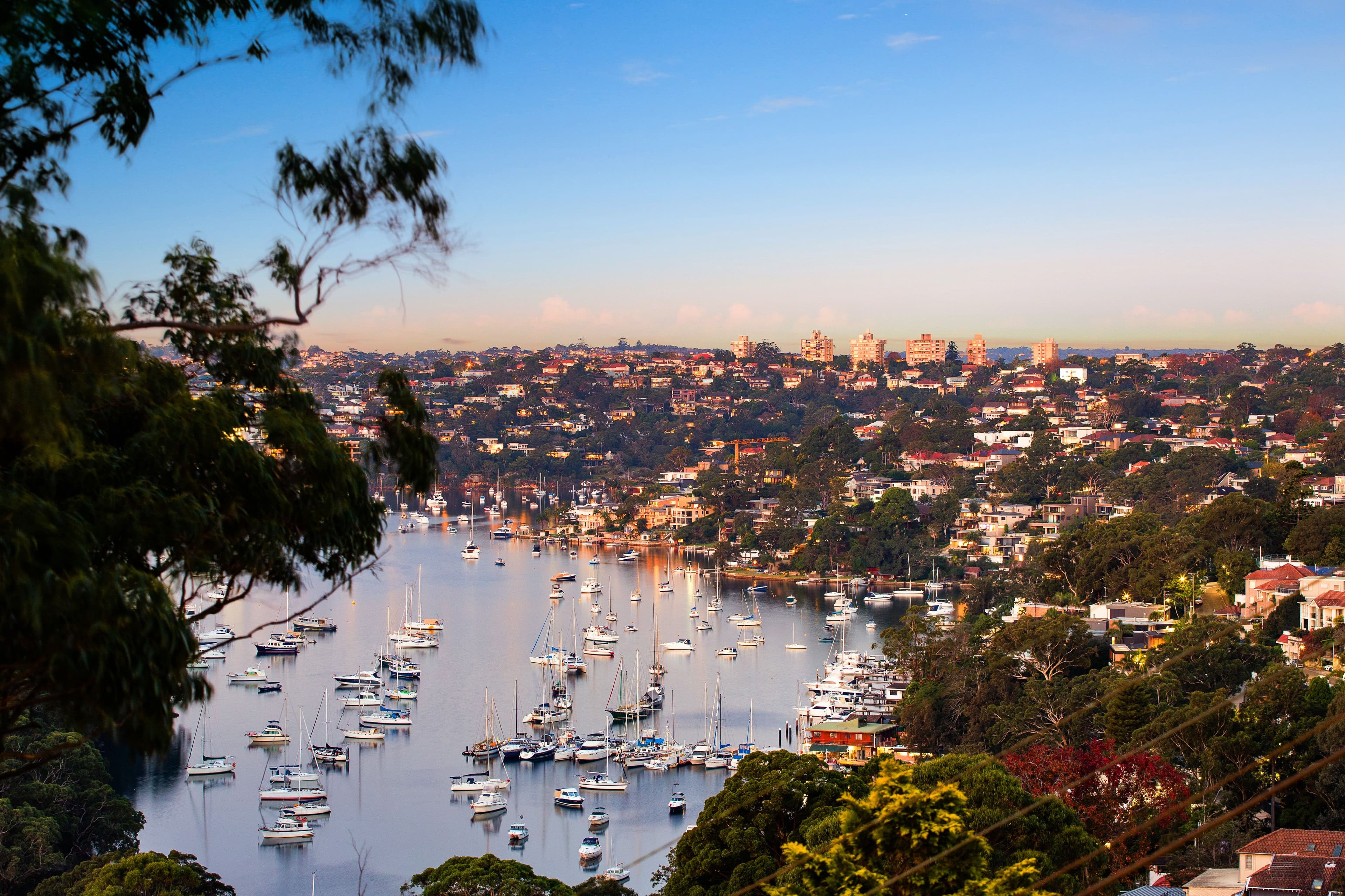 36 Wilson Street, Cammeray NSW 2062, Cammeray - Thumbnail 4
