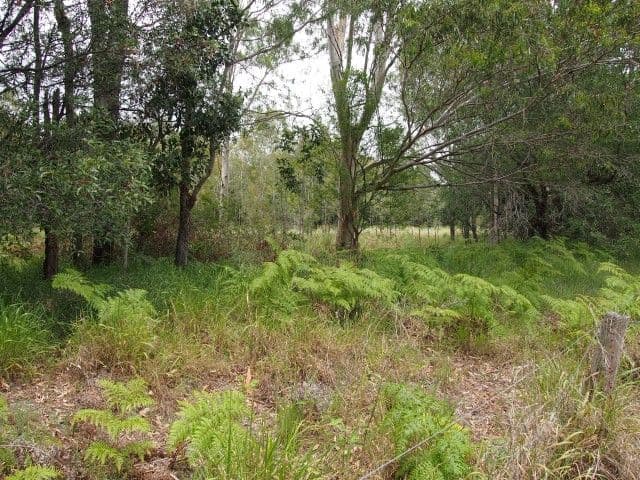 434 Oregan Creek Road, TOOGOOM QLD 4655, Toogoom - Thumbnail 4