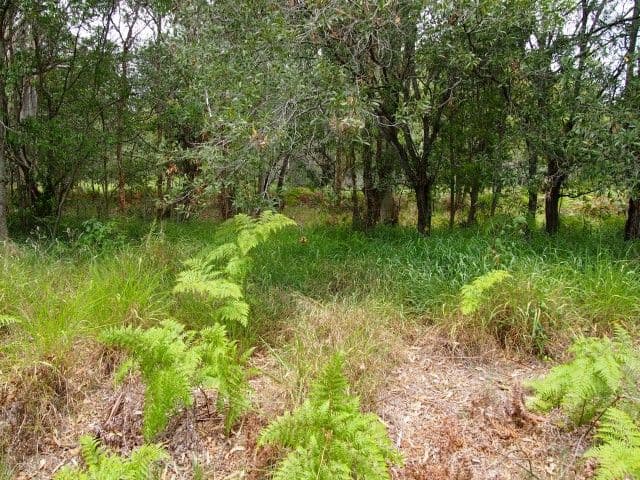 434 Oregan Creek Road, TOOGOOM QLD 4655, Toogoom - Thumbnail 5