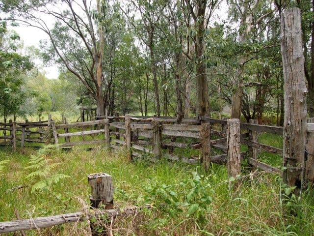 434 Oregan Creek Road, TOOGOOM QLD 4655, Toogoom - Thumbnail 6
