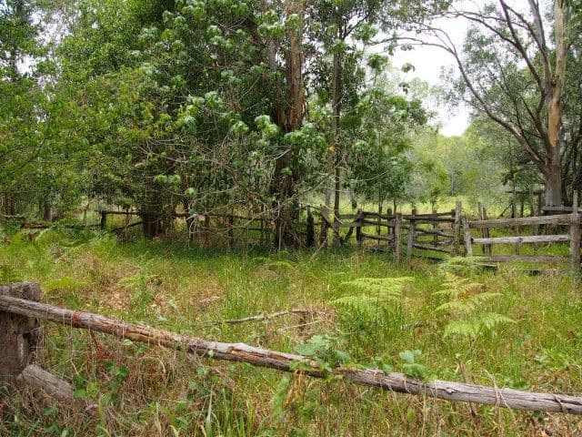 434 Oregan Creek Road, TOOGOOM QLD 4655, Toogoom - Thumbnail 7