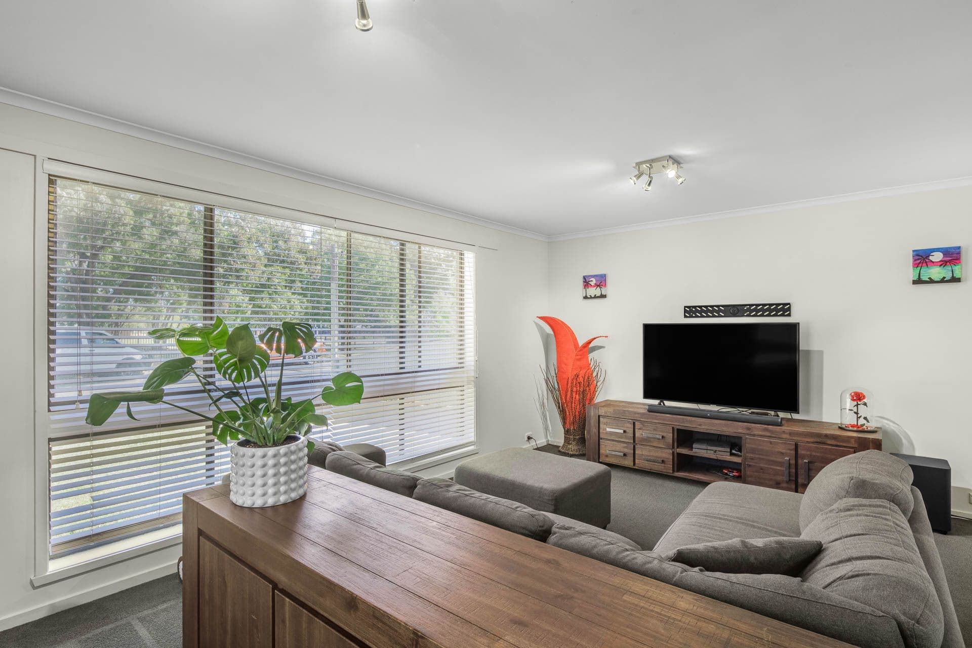 576 Manns Street, Lavington NSW 2641, Lavington - Thumbnail 3