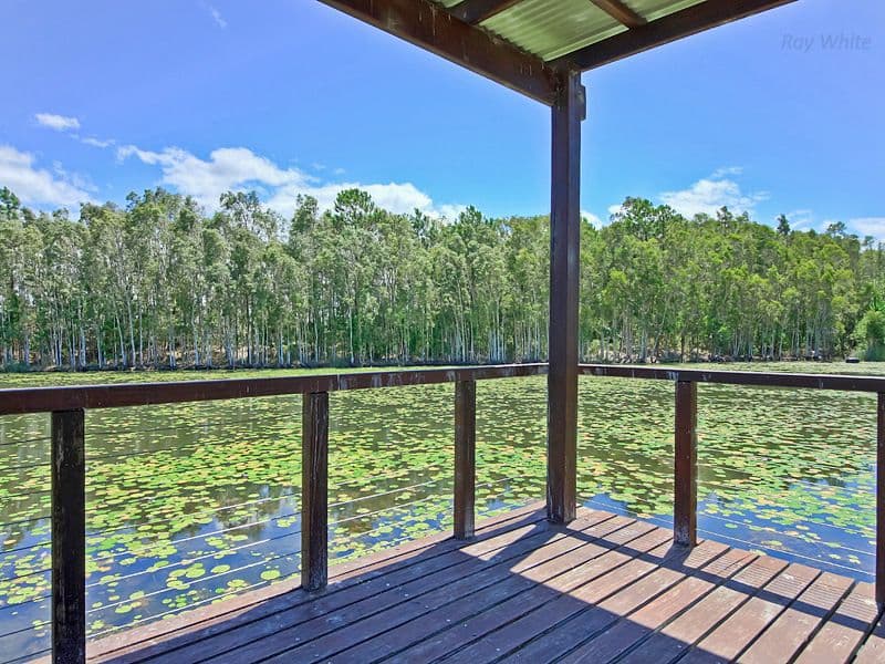 11 Eucalyptus Street, NINGI QLD 4511, Ningi - Thumbnail 5