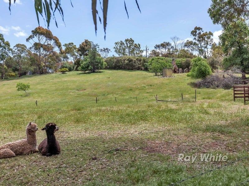 58 Miles Road, One Tree Hill SA 5114, One Tree Hill - Thumbnail 4