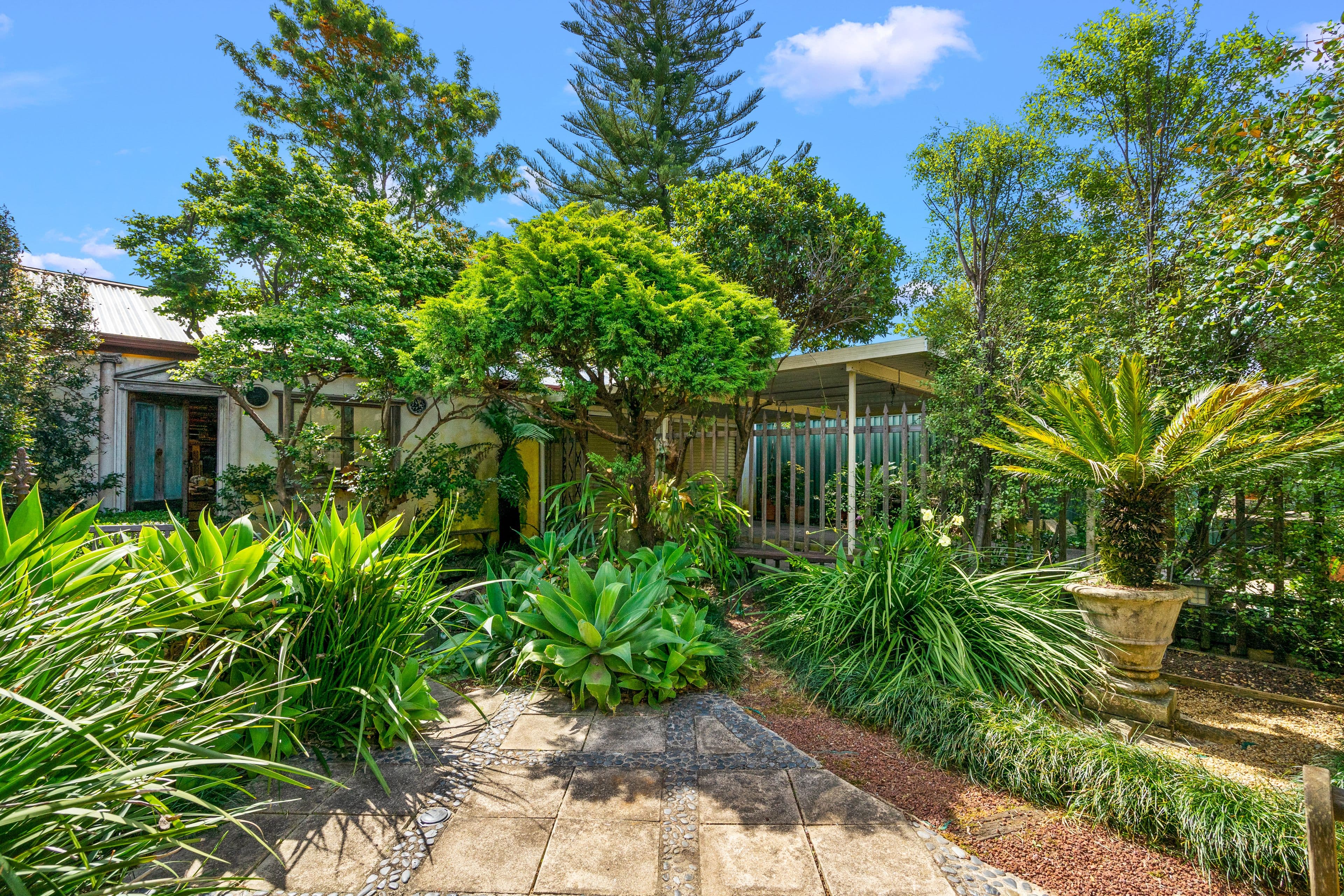 113 Augusta Street, Punchbowl NSW 2196, Punchbowl - Thumbnail 2