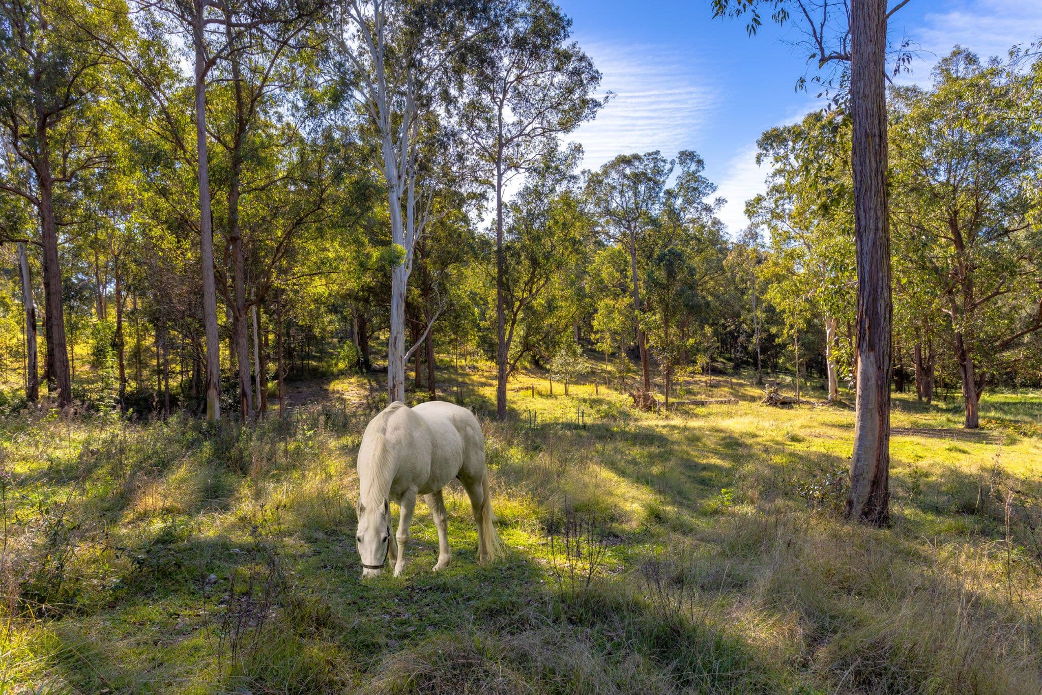 18 Kingfisher Drive, Wingham NSW 2429, Wingham - Thumbnail 3