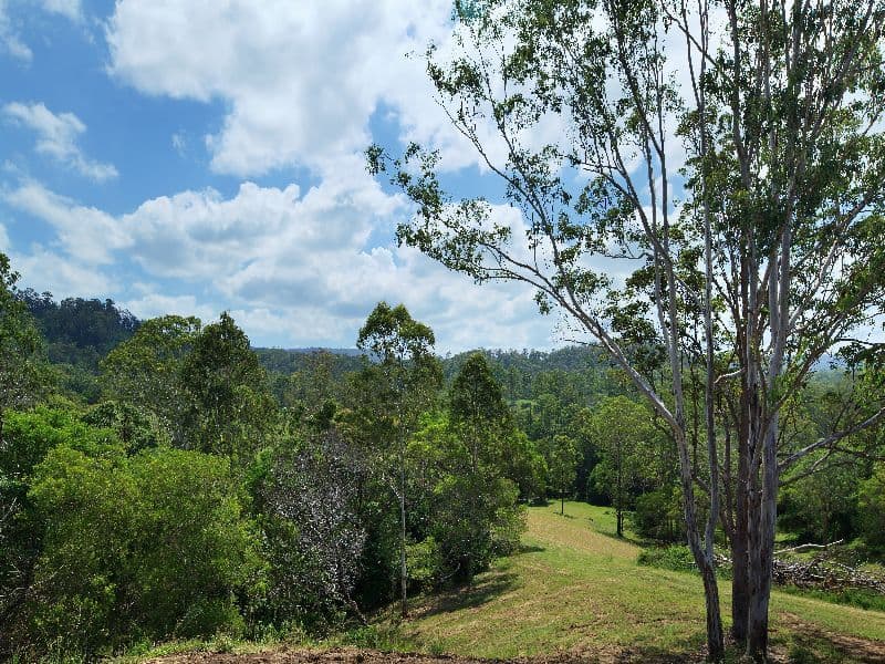 1036 Aherns Road, CONONDALE QLD 4552, Conondale - Image 1