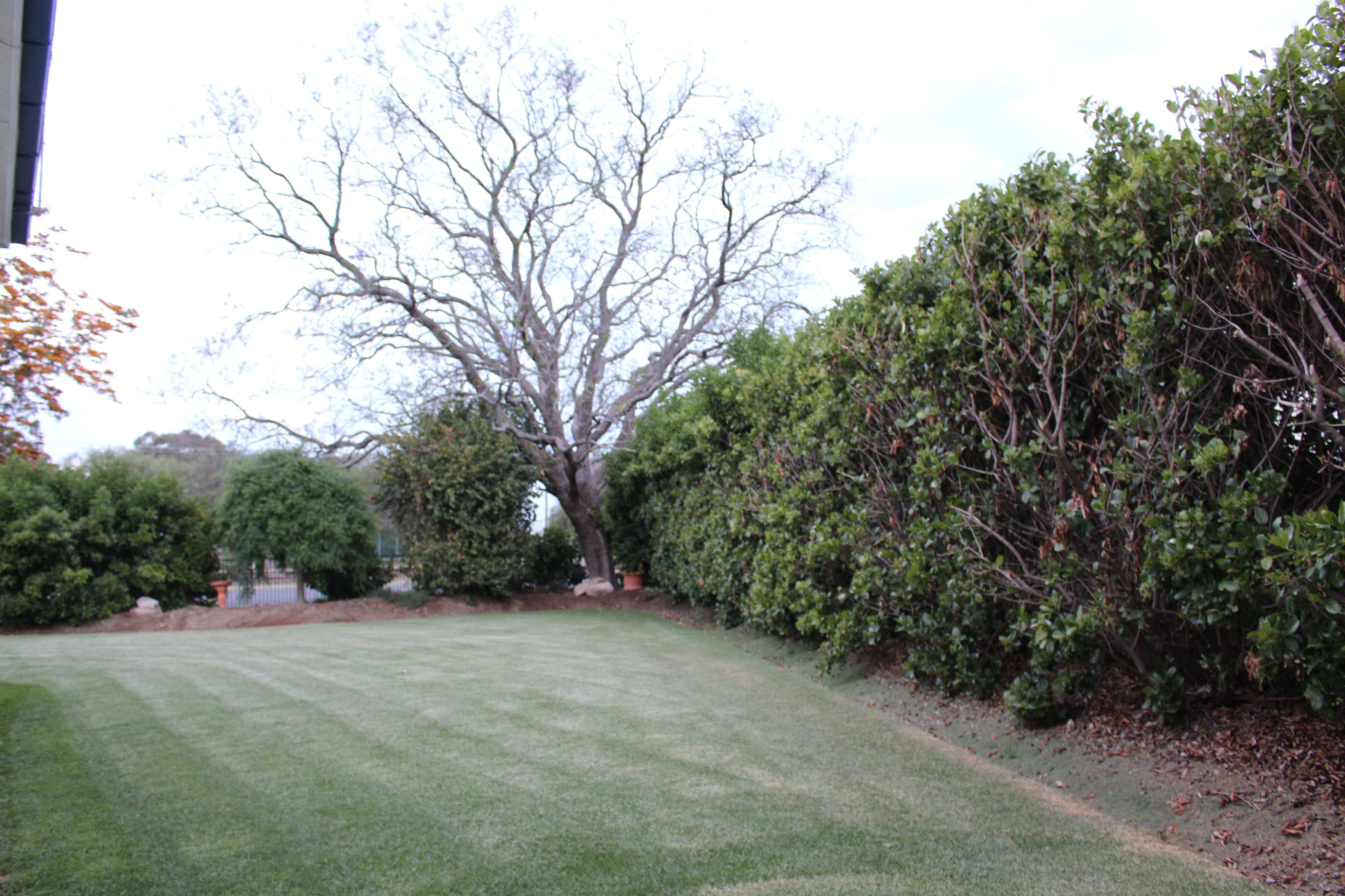 9 Briggs, Pittsworth QLD 4356, Pittsworth - Thumbnail 4