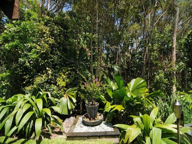 73 BALE Drive, PORT DOUGLAS QLD 4877, Port Douglas - Thumbnail 8