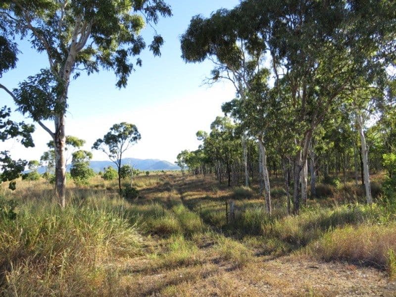 Lot 2, 4 & 286 Longford Creek, Bruce Highway, Gregory River QLD 4800, Gregory River - Thumbnail 4