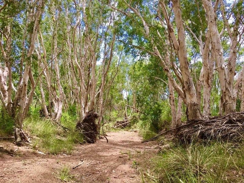 Lot 2, 4 & 286 Longford Creek, Bruce Highway, Gregory River QLD 4800, Gregory River - Thumbnail 5