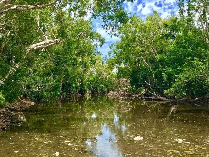 Lot 2, 4 & 286 Longford Creek, Bruce Highway, Gregory River QLD 4800, Gregory River - Thumbnail 6