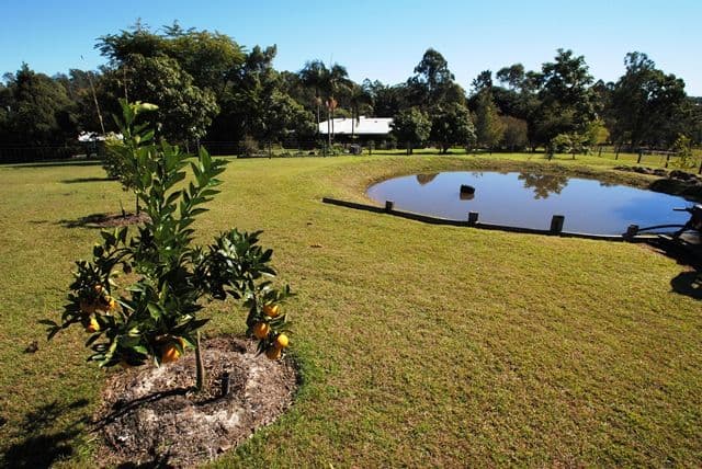 43 Taylor Road, VETERAN QLD 4570, Veteran - Thumbnail 5