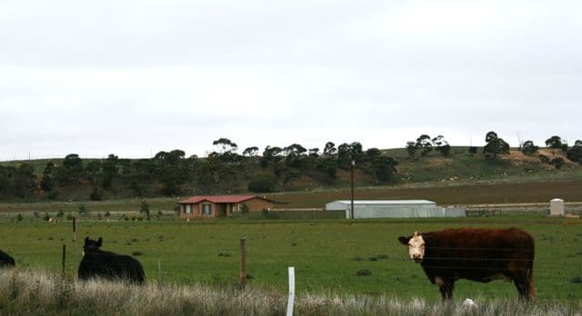 Lot 428 Government Road, BURRA SA 5417, Burra - Thumbnail 8