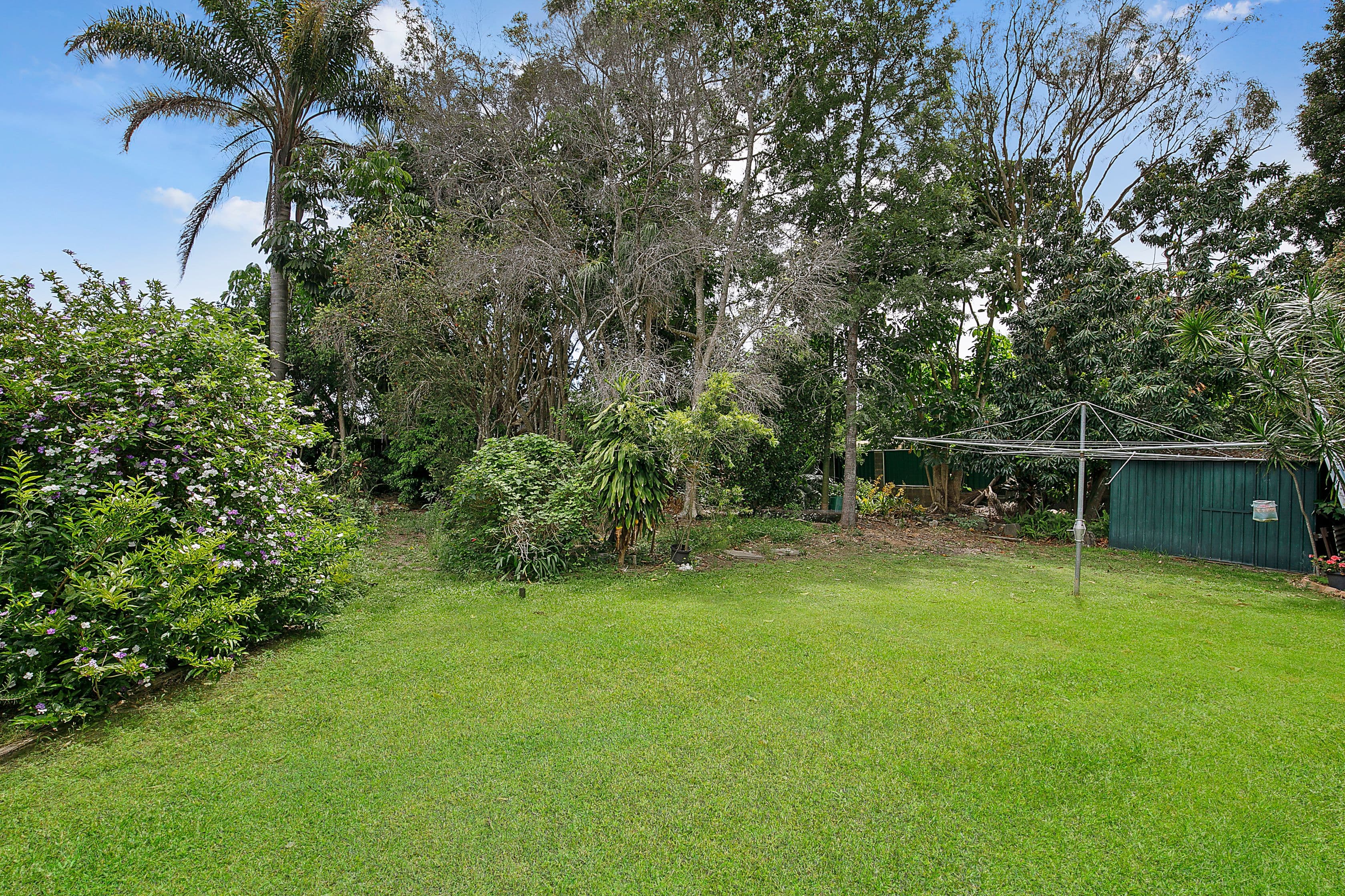 52 Babiana Street, Alexandra Hills QLD 4161, Alexandra Hills - Thumbnail 4