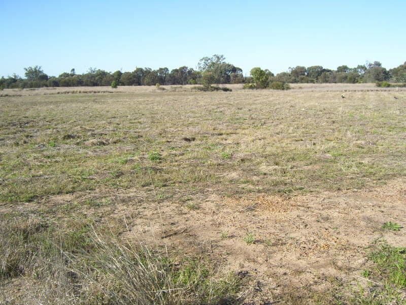 12 Neilsen Street, Wandoan QLD 4419, Wandoan - Thumbnail 2