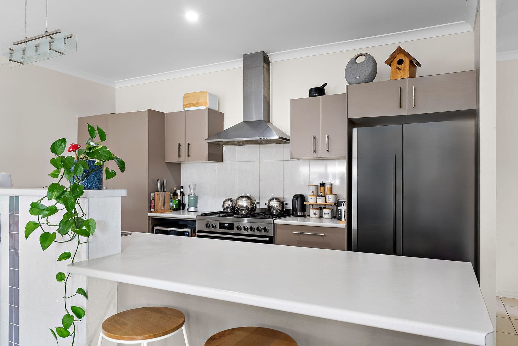5 Red Cedar Street, Sippy Downs QLD 4556, Sippy Downs - Thumbnail 2