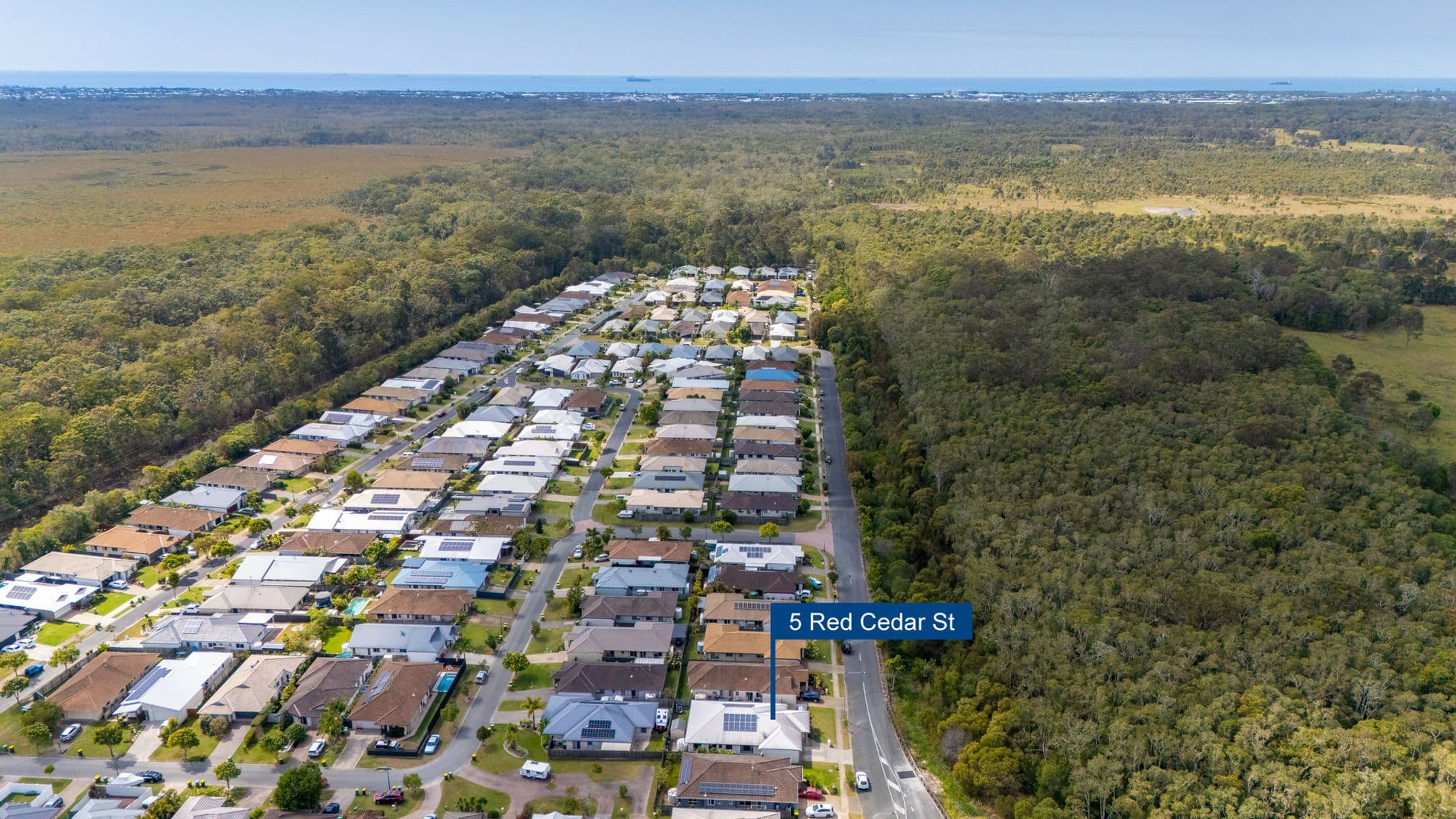 5 Red Cedar Street, Sippy Downs QLD 4556, Sippy Downs - Thumbnail 7