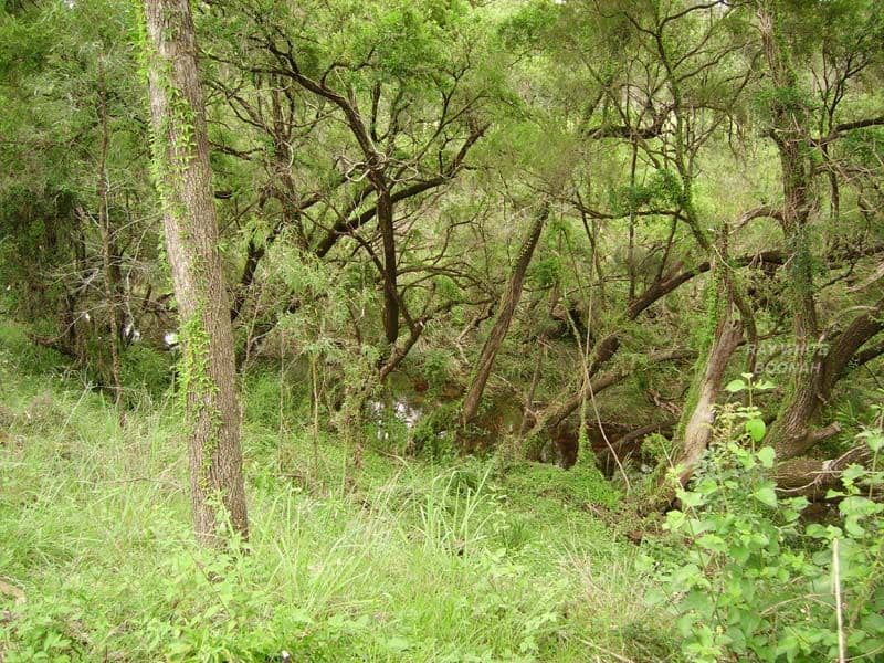 BOONAH QLD 4310, Boonah - Thumbnail 2