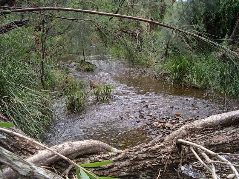 BOONAH QLD 4310, Boonah - Thumbnail 7