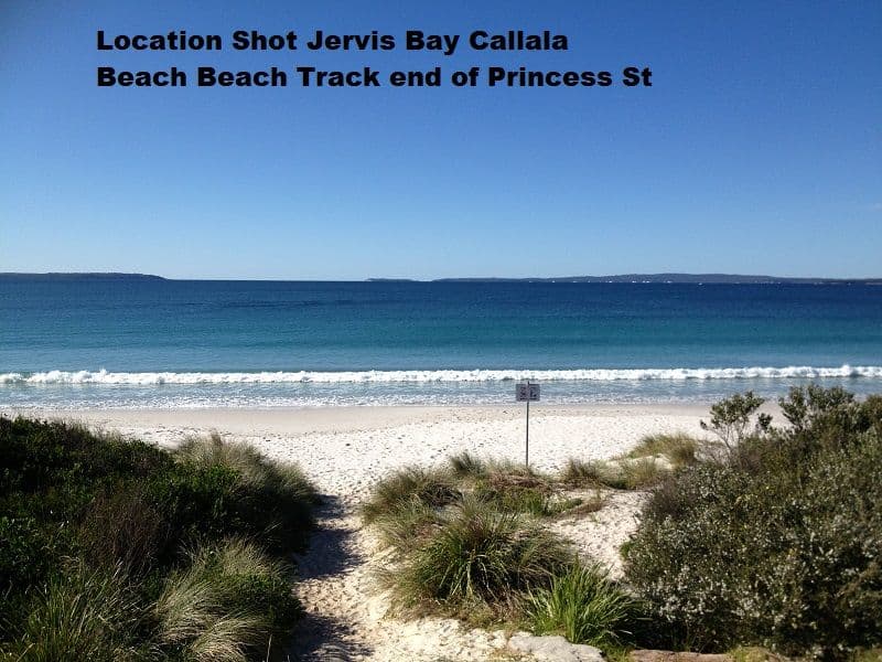 19 Princess Street, Callala Beach - Thumbnail 7