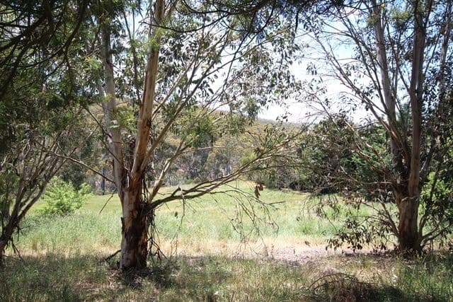 37 Shakespeare Close, Oberon NSW 2787, Oberon - Thumbnail 7