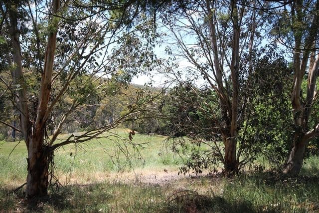 37 Shakespeare Close, Oberon NSW 2787, Oberon - Thumbnail 8