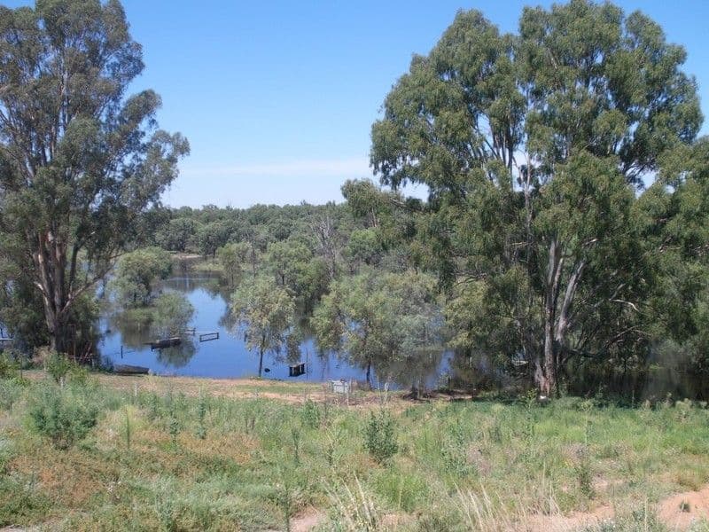 Lot 52 (34) Cobb and Co Way, GOL GOL NSW 2738, Gol Gol - Image 1