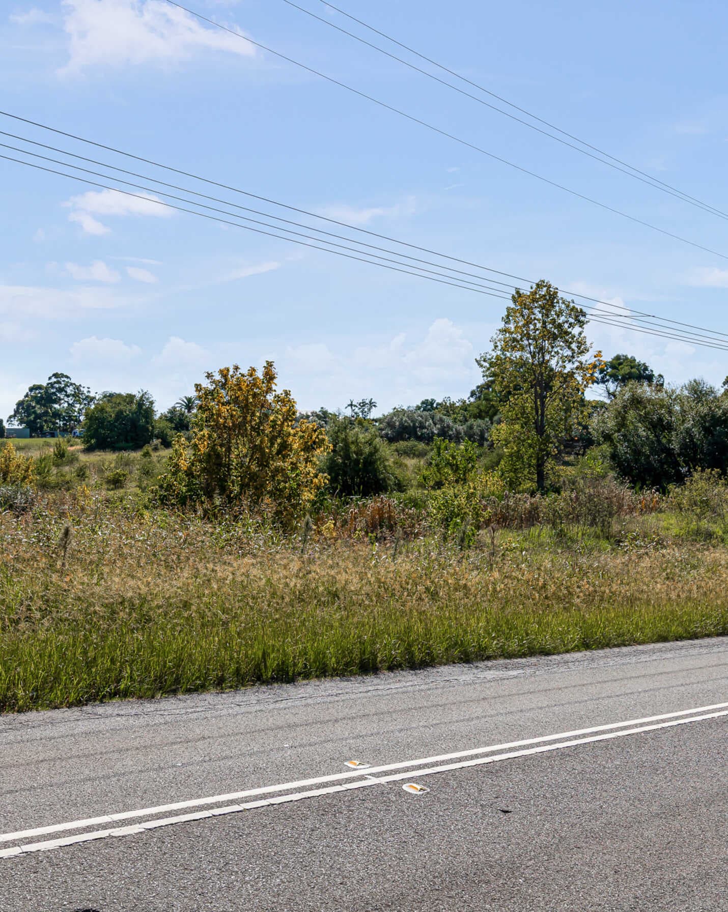 93-99 Calverts Road Orchard Hills, Hills - Thumbnail 5