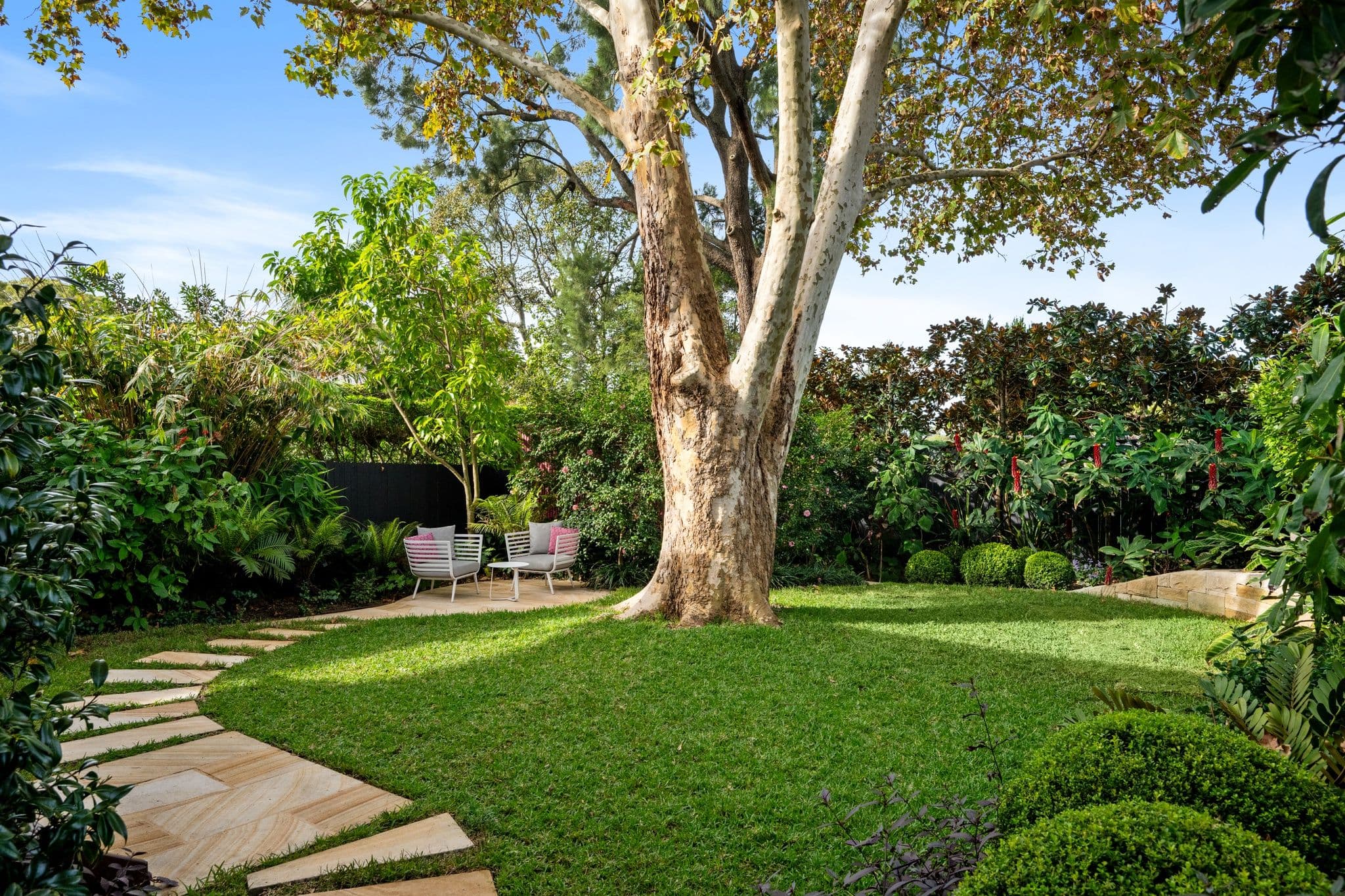 5 Bellambi Street, Northbridge NSW 2063, Northbridge - Thumbnail 5