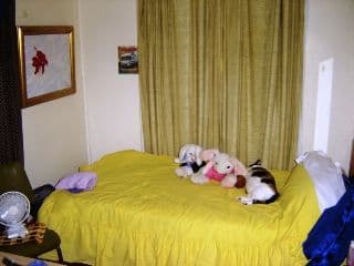15 Coogee Street, Randwick - Thumbnail 3