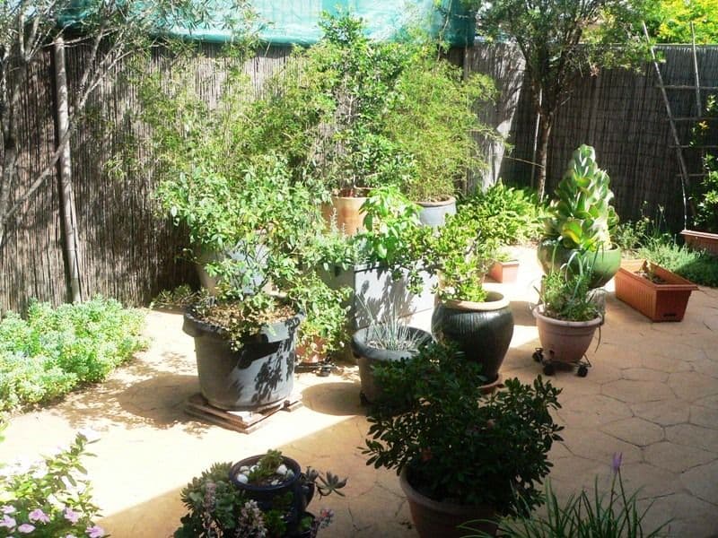 139 Cressbrook Street, TOOGOOLAWAH QLD 4313, Toogoolawah - Thumbnail 2