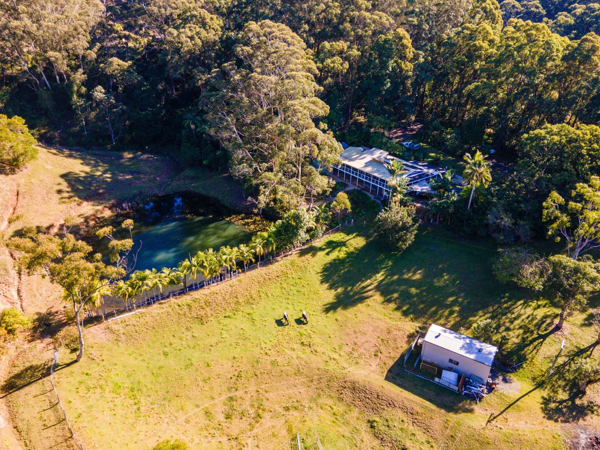 105C Finlays Road, Korora NSW 2450, Korora - Image 1