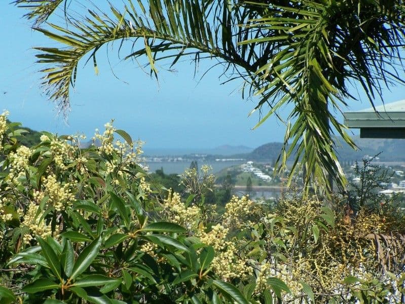 42 Eden Way, YEPPOON QLD 4703, Yeppoon - Thumbnail 2