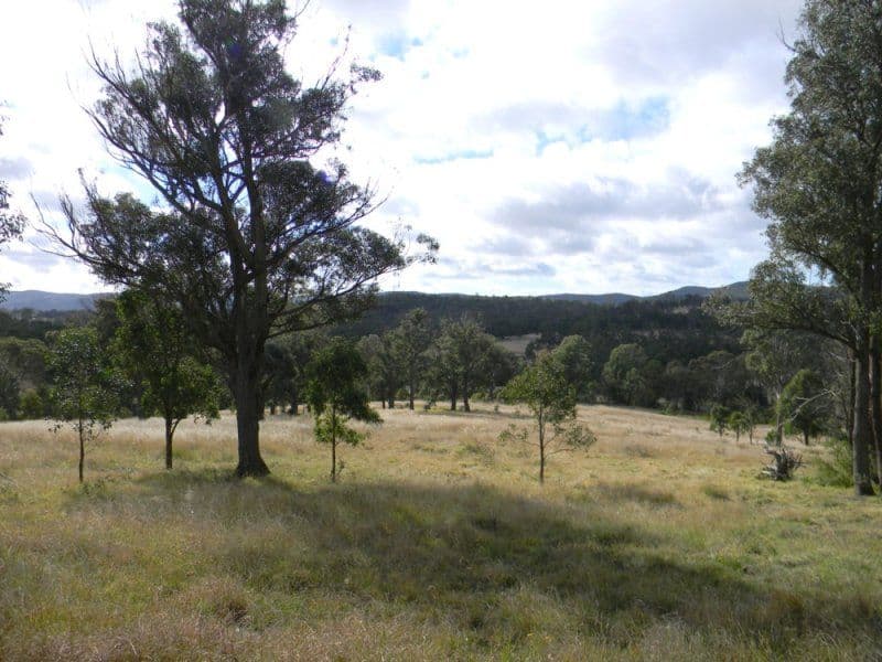 WOLUMLA NSW 2550, Wolumla - Image 1
