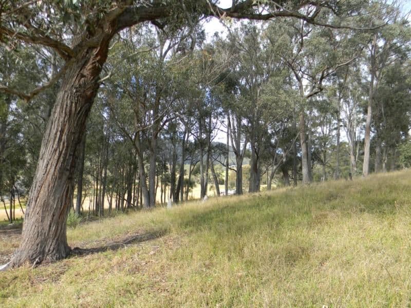 WOLUMLA NSW 2550, Wolumla - Thumbnail 3